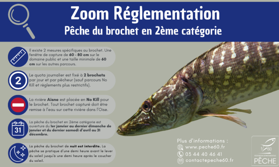 Zoom Réglementation Brochet